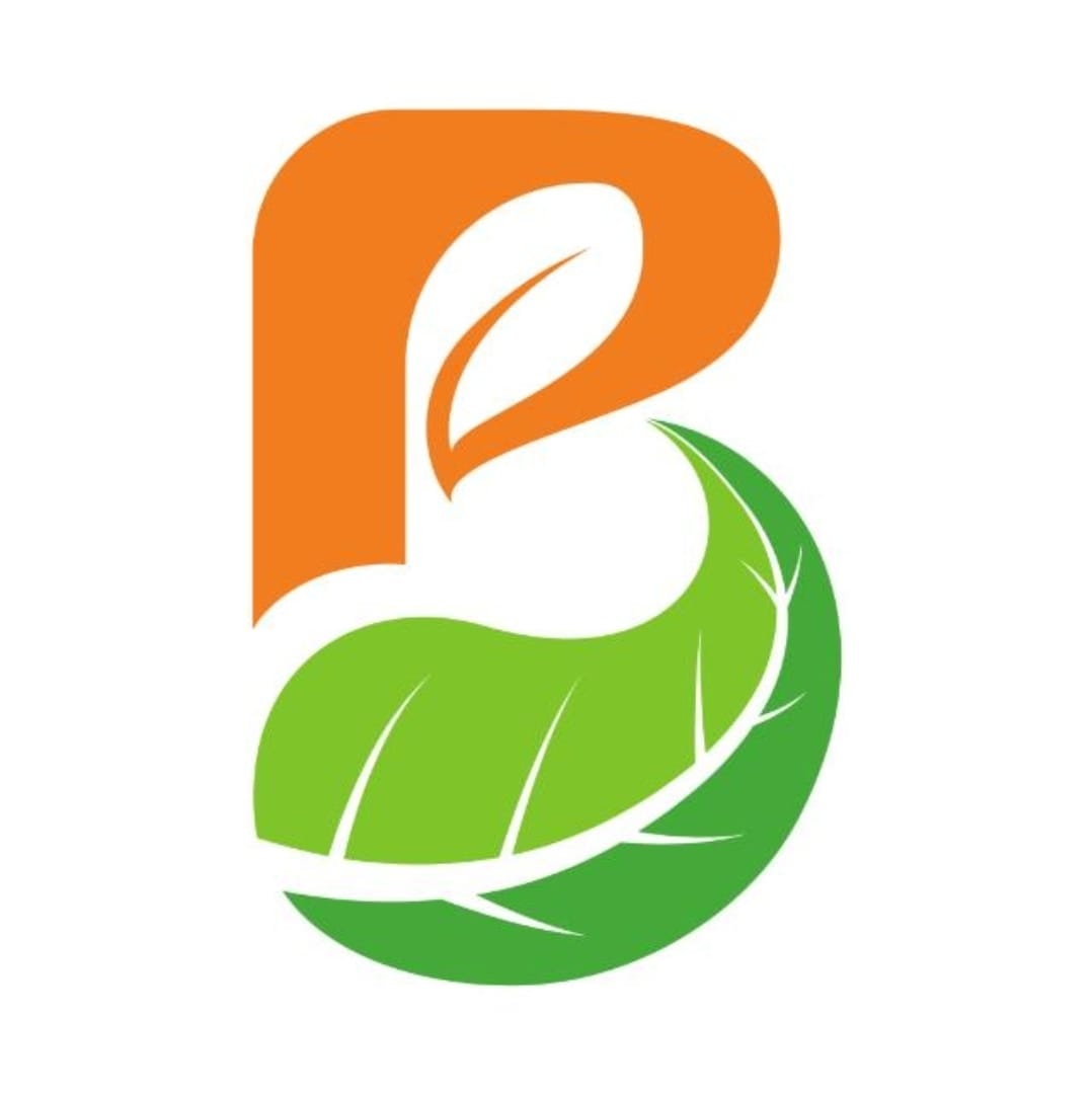 شعار Bayo Spa